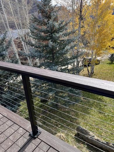 Cable railing with brown composite top rail and black posts overlooking evergreens and fall trees (Precision railing)