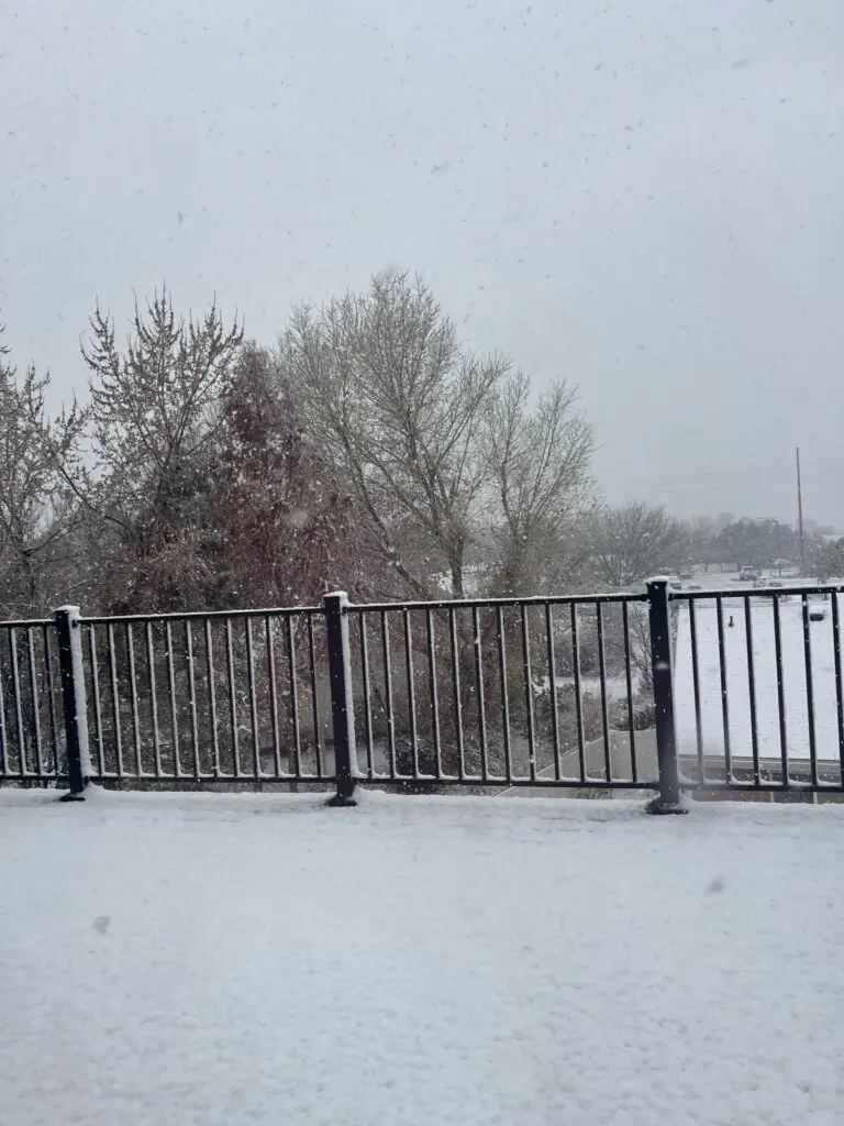 composite deck and railing in the winter with snow on the deck overlooking a woodsy area