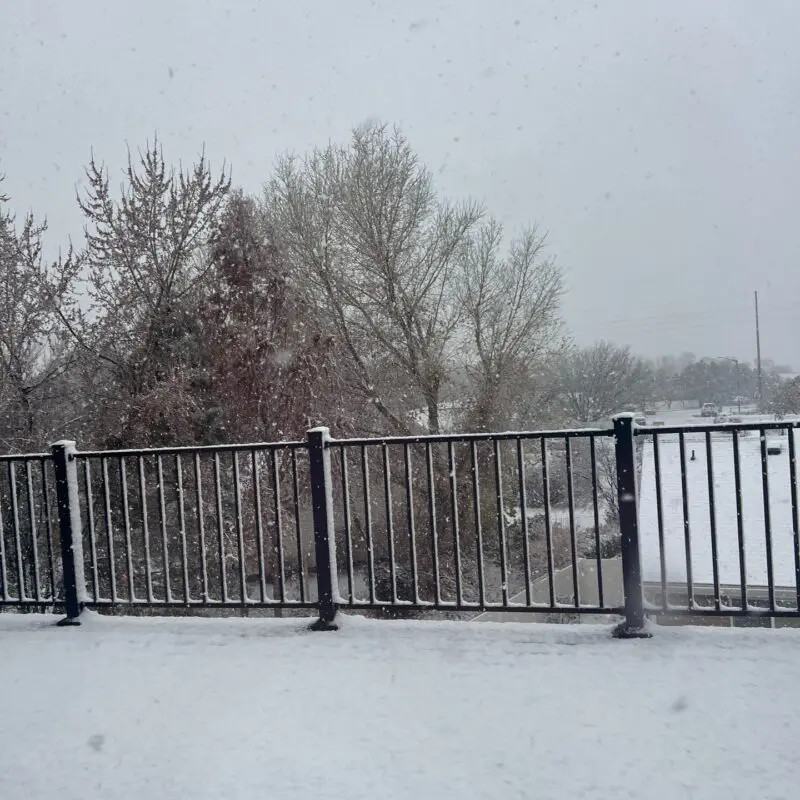Composite deck with snow and railing overlooking woods area