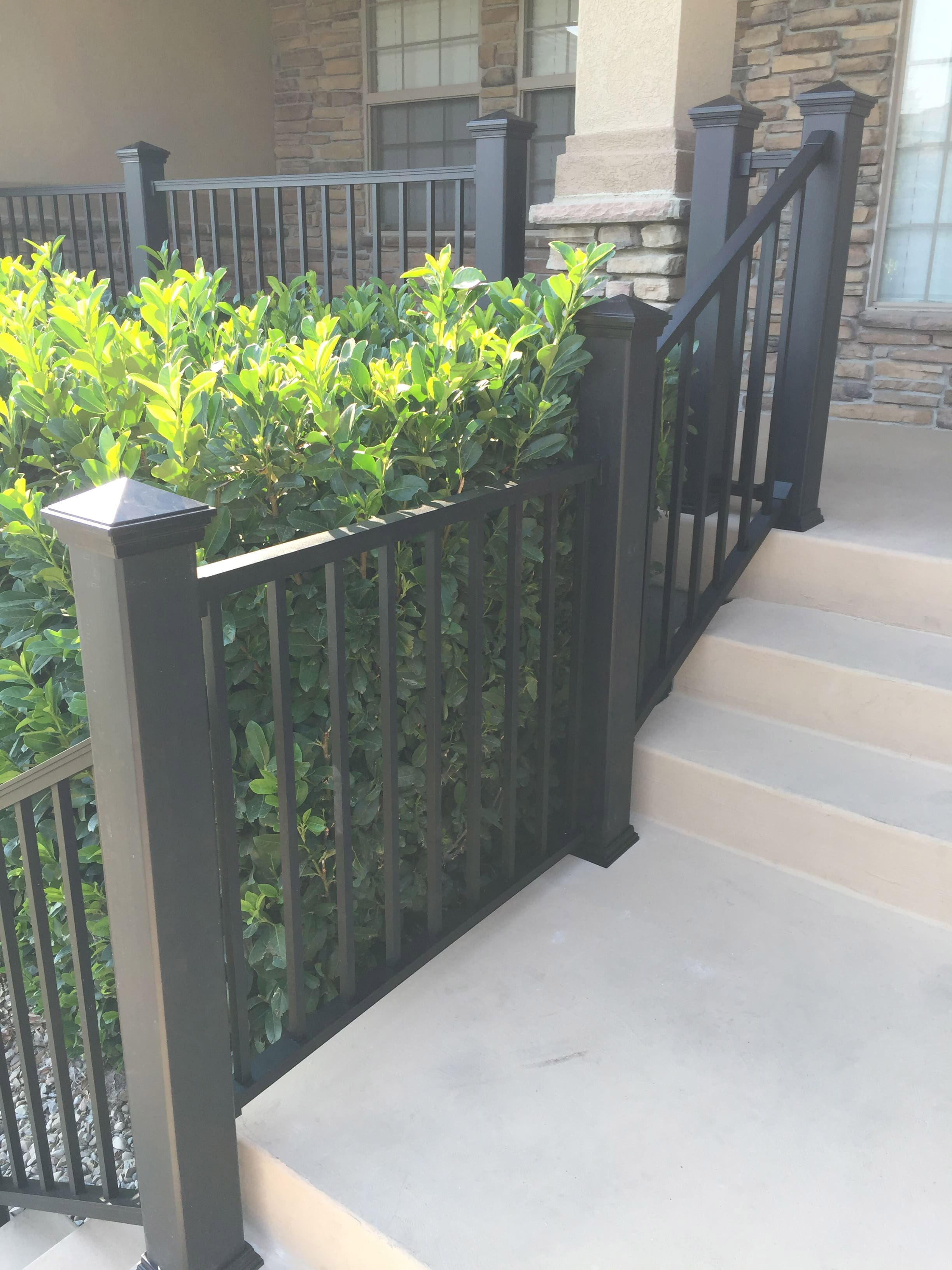 A set of steps leading up to a front porch or entrance, with a black metal railing and decorative planters filled with green foliage along the sides.