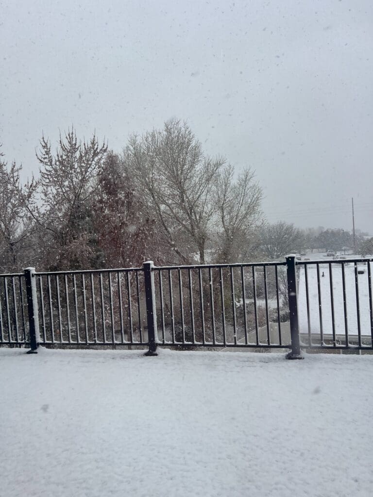 composite deck and railing in the winter with snow on the deck overlooking a woodsy area